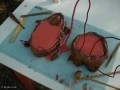 Animated Handbag Elementsfor Dirty Habit